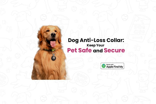 Dog Anti-Loss Collar
