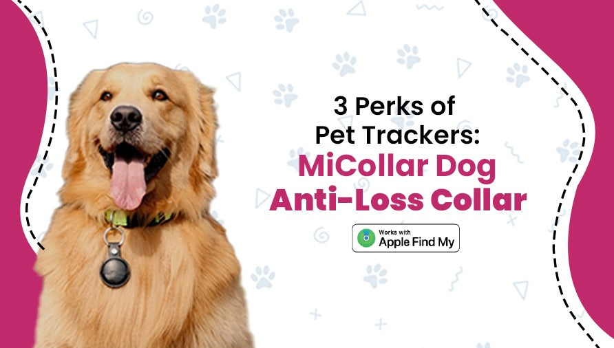 MiCollar Dog Anti-Loss Collar