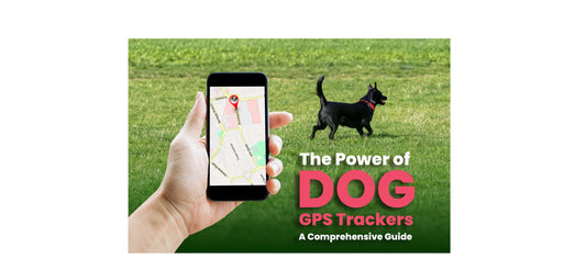 Dog GPS Tracker