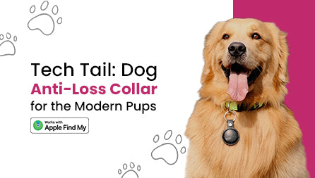 Dog Anti-Loss Collar