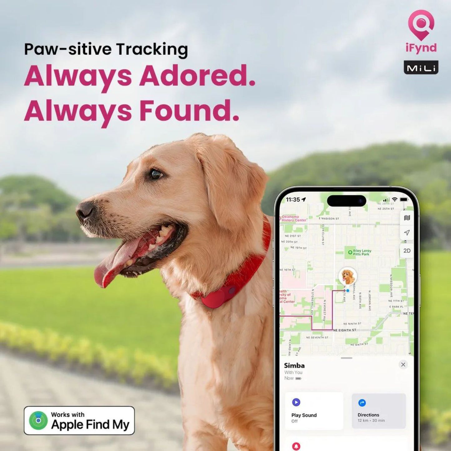 MiTag with Collar for Dogs & Cats – Smart Anti-Loss Tracker - ifyndyou