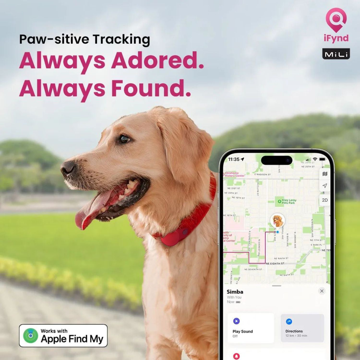 MiTag with Collar for Dogs & Cats – Smart Anti-Loss Tracker - ifyndyou
