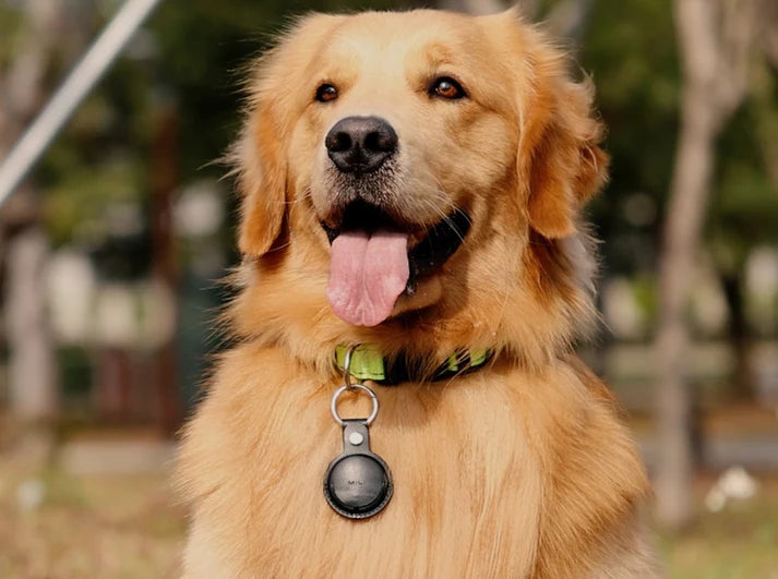 MiTag – iOS Smart Tracker with Holder Case - ifyndyou