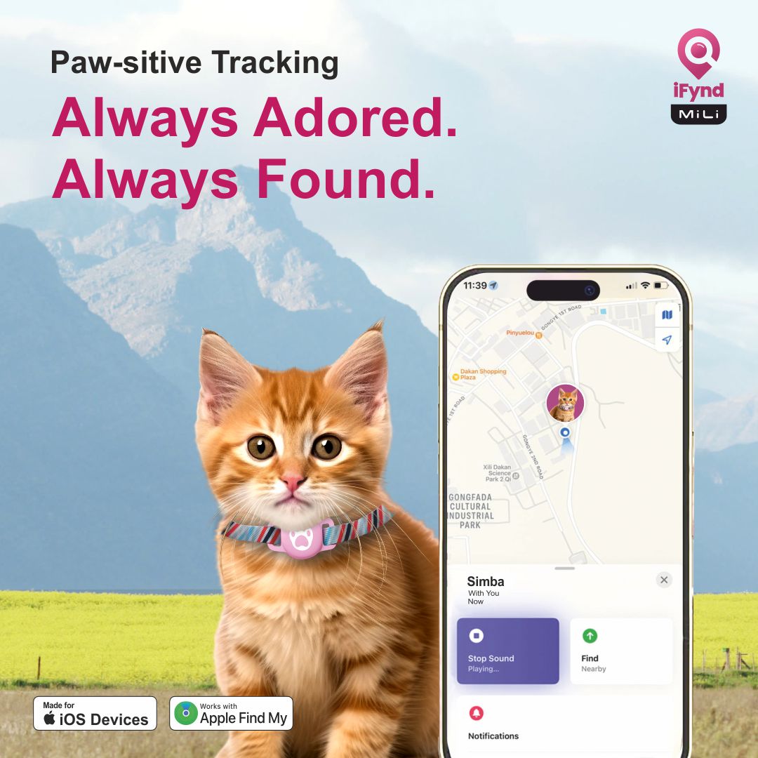 MiTag with Collar for Cats – Safety & Convenience in One - ifyndyou