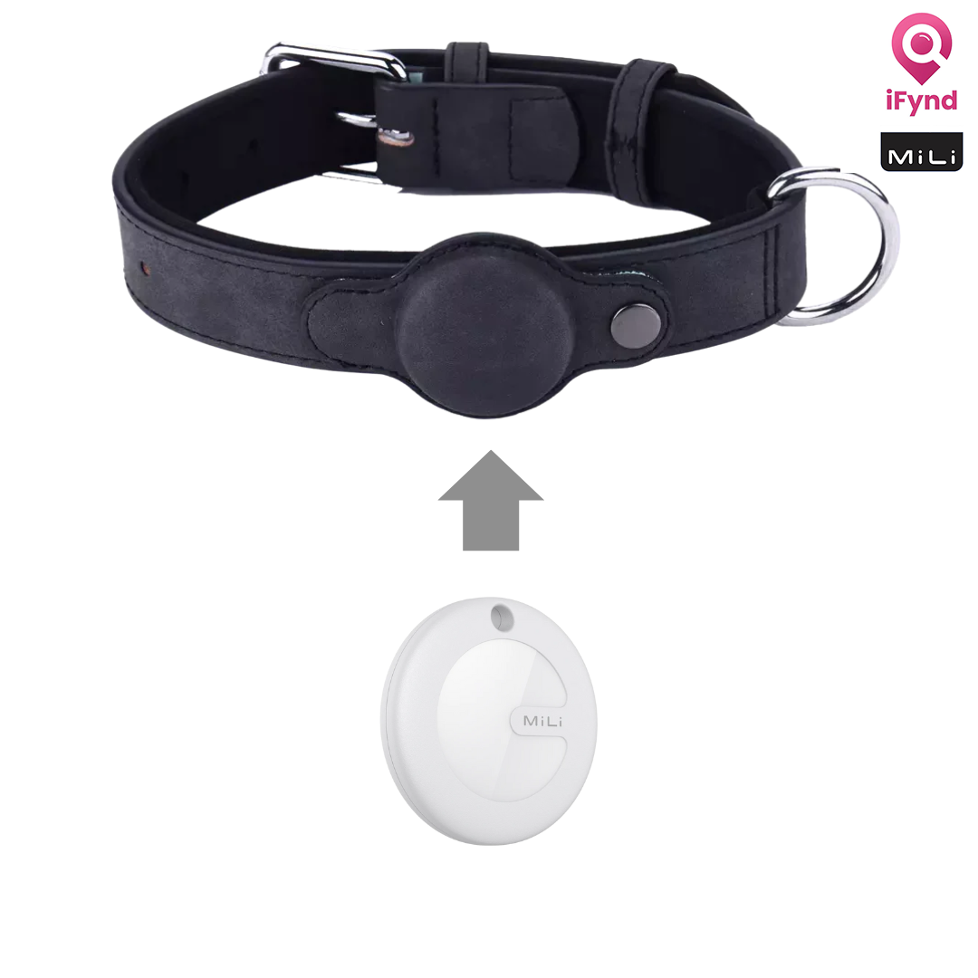 MiTag with Collar for Dogs & Cats – Smart Anti-Loss Tracker - ifyndyou