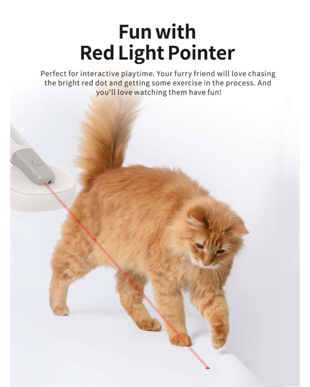 Multifunctional Brush – The Ultimate Grooming Tool for Pet Parents - ifyndyou