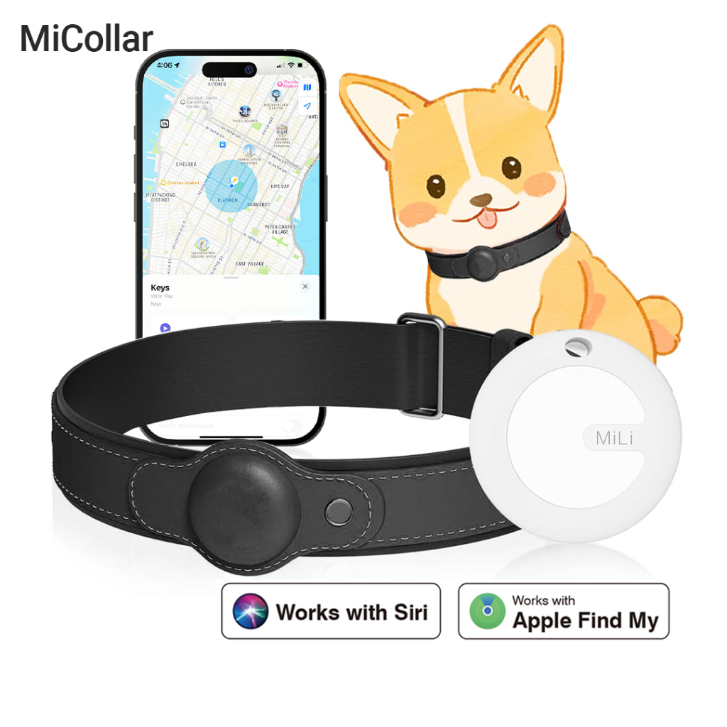 MiTag with Collar for Dogs & Cats – Smart Anti-Loss Tracker - ifyndyou