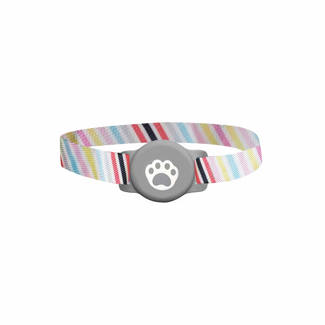 MiTag with Collar for Cats – Safety & Convenience in One - ifyndyou