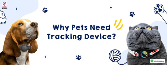 Why Pets Need Tracking Device?