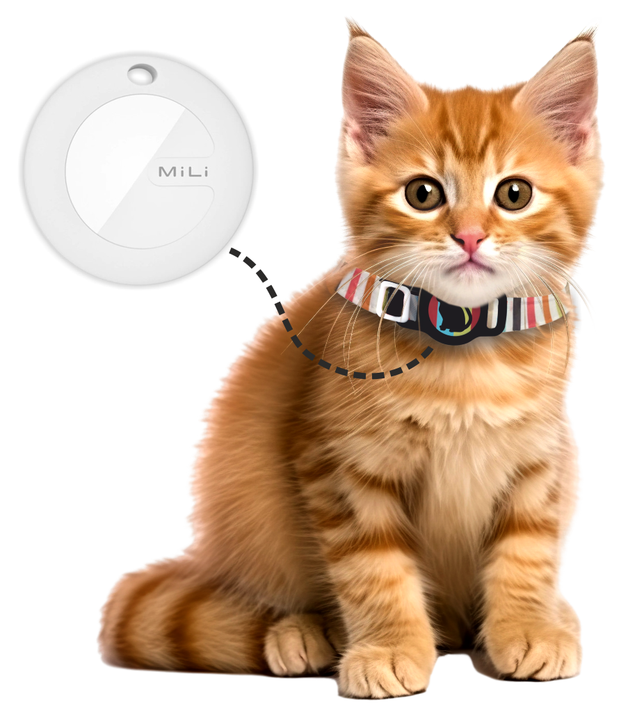 MiTag with Collar (Cats)- Pet Anti-Loss Device