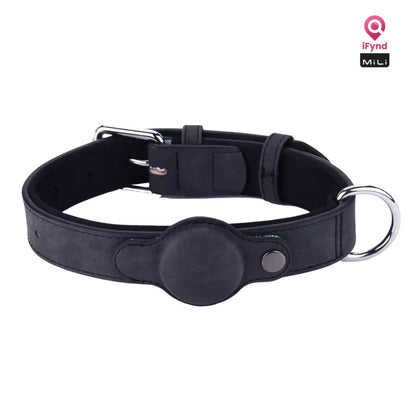 MiTag with Collar (Dogs)- Pet Anti-Loss Device